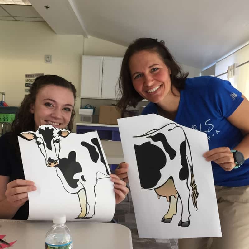 Belfint 2019 Interns Service Day