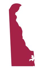 Delaware 401k Audits