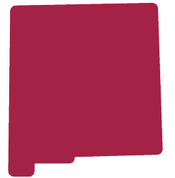 New Mexico State Silhouette